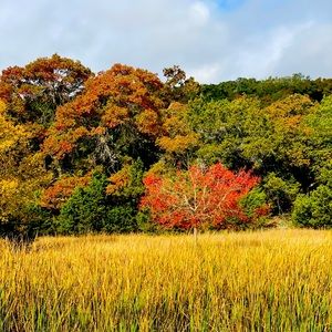 Meet your Posher, Rächel